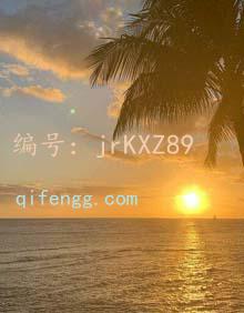 ҵ
