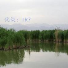 ҵ