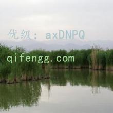 ζ
