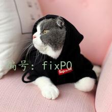 Χ
