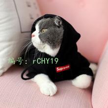 ޿