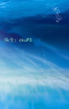 Χ