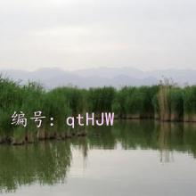 ҵ