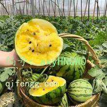 ޿