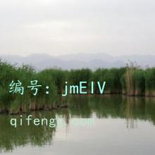 ζ