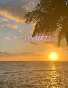 ҵ