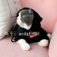 ޿