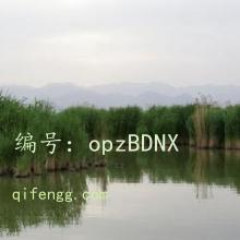 ҵ