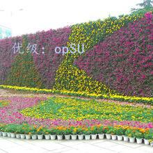 Ȧ